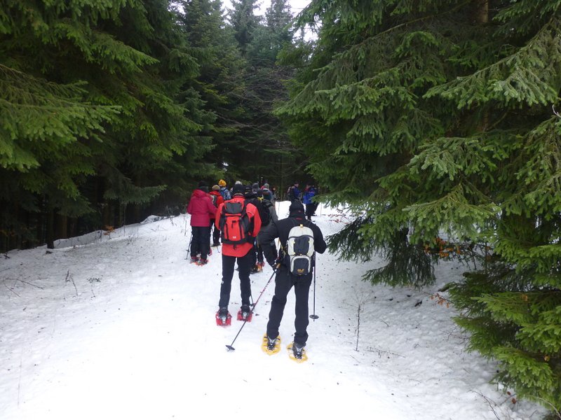 Schneeschuhwanderung