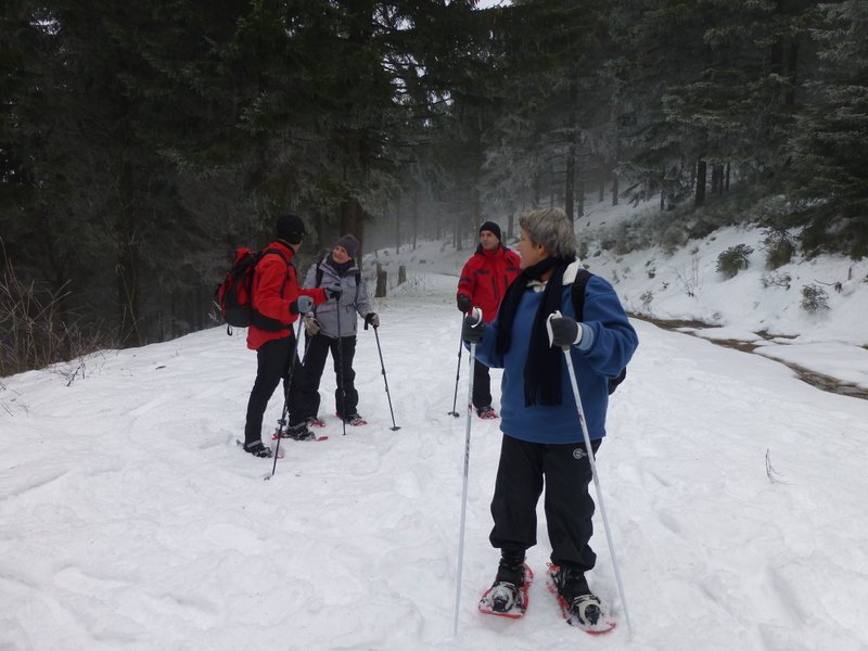 Schneeschuhwanderung