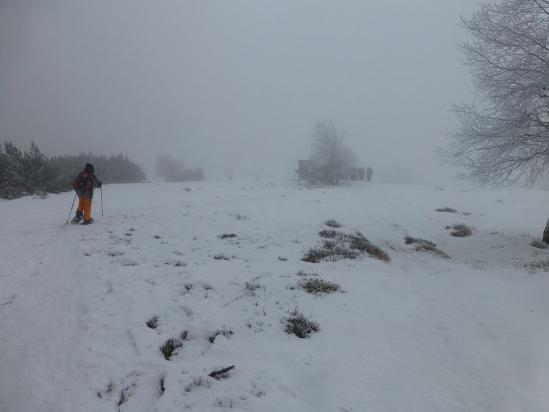 Schneeschuhwanderung