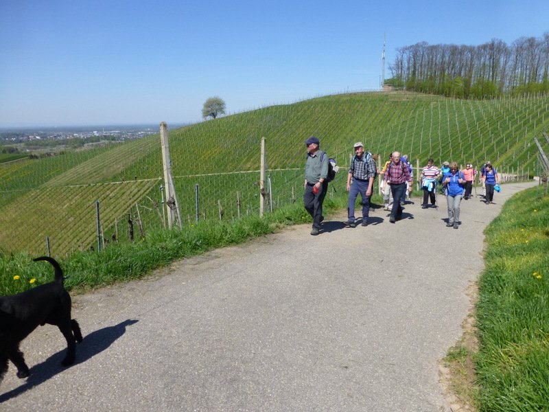 Auftaktwanderung