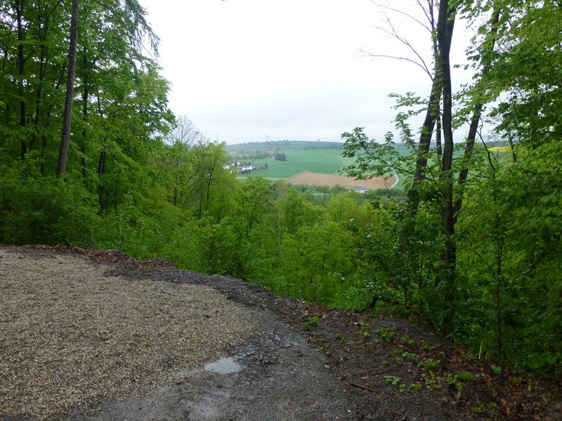 Landeswandertag