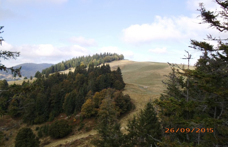 Altglashuetten
