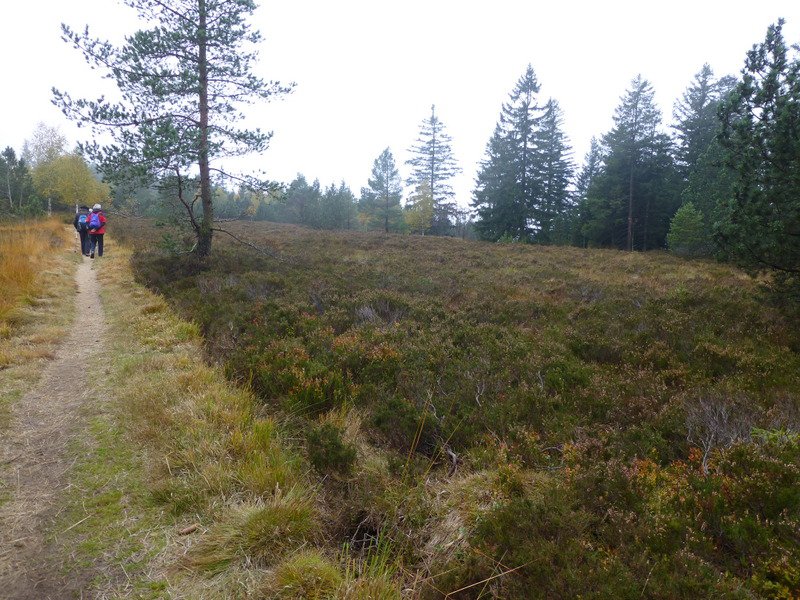 Herbstwanderung