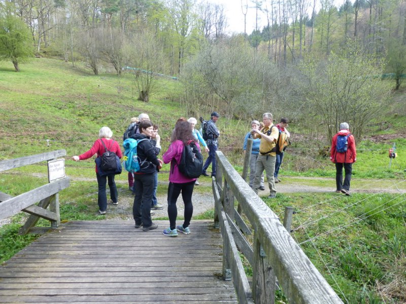 Wandern