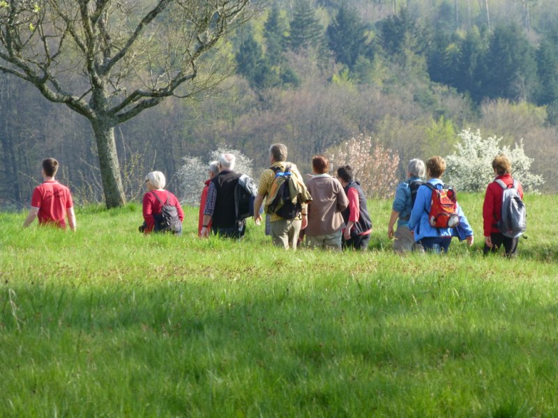 Wandern