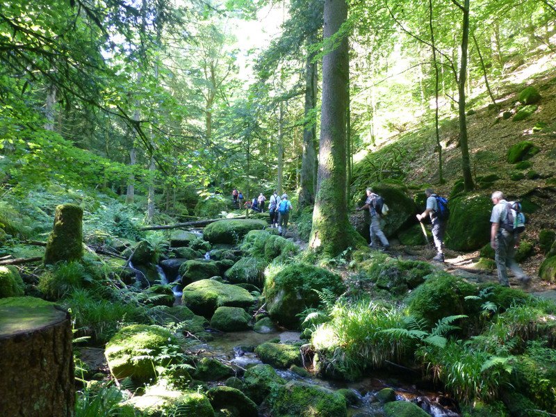 Sommerwanderung