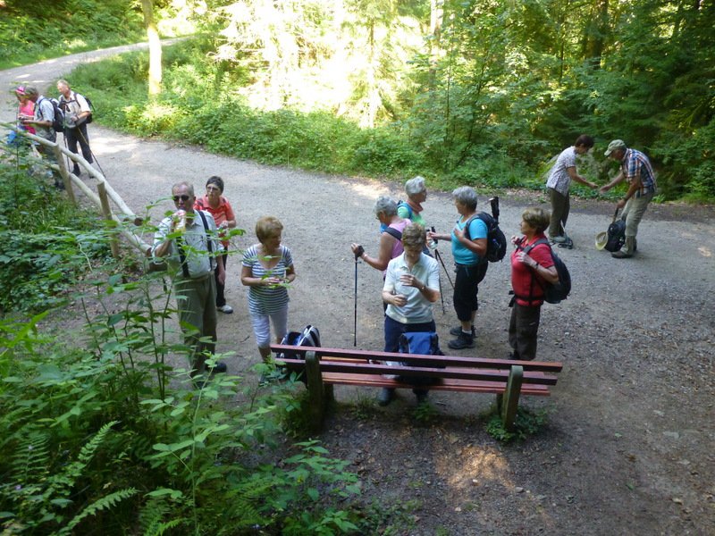 Sommerwanderung