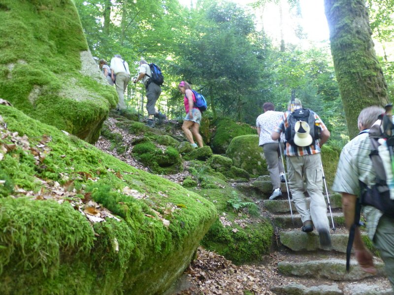 Sommerwanderung