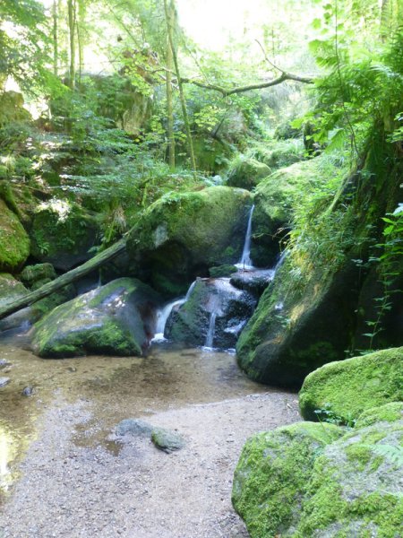 Sommerwanderung