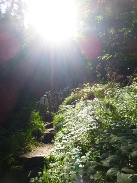Sommerwanderung