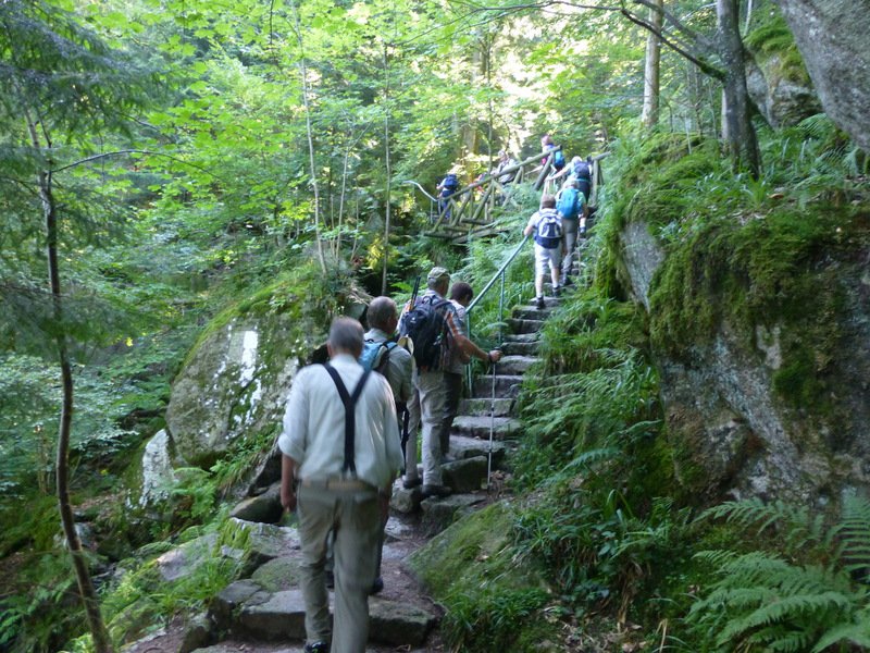 Sommerwanderung