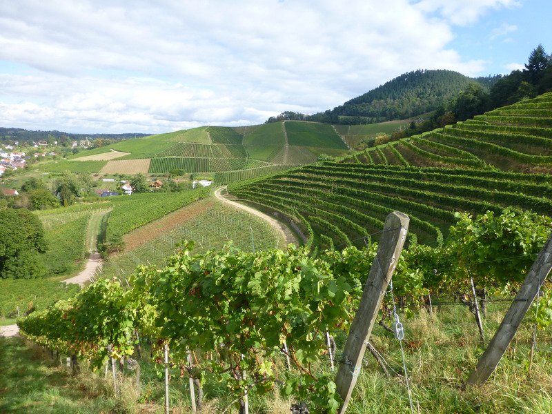 Gengenbach