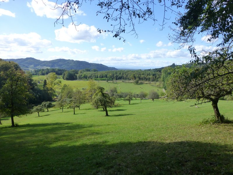Gengenbach