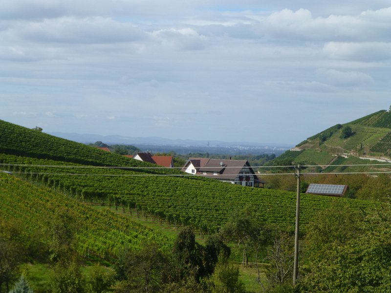 Gengenbach