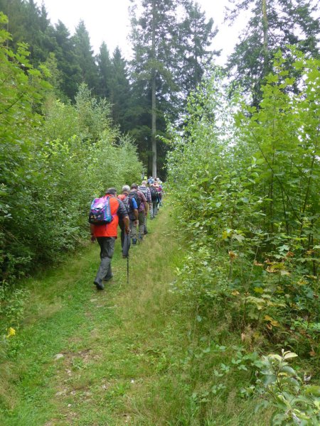 Sommerwanderung