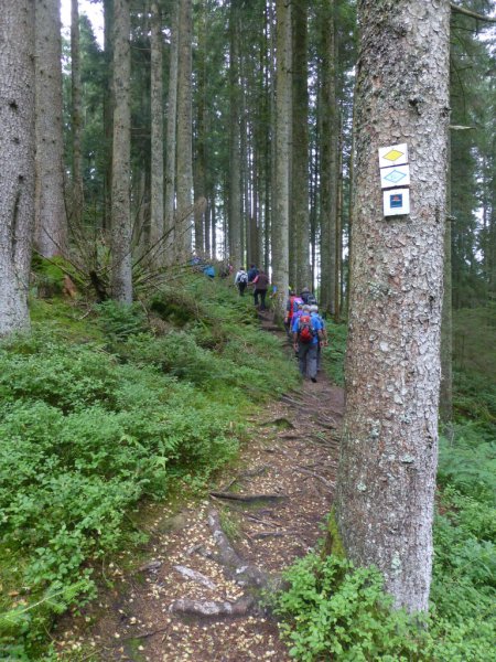 Sommerwanderung
