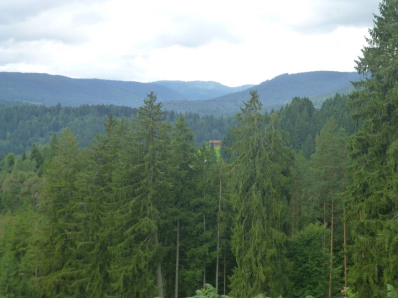 Sommerwanderung