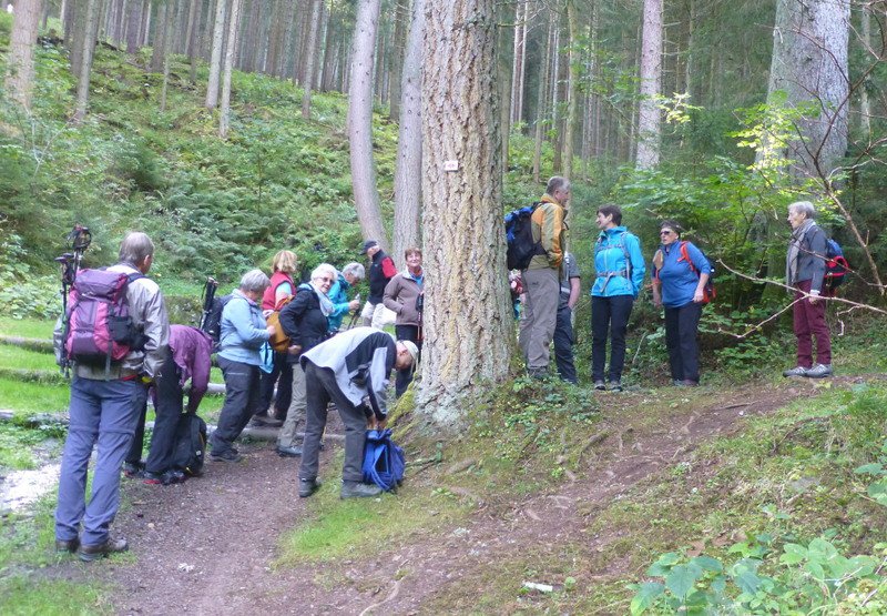 Wanderwochenende