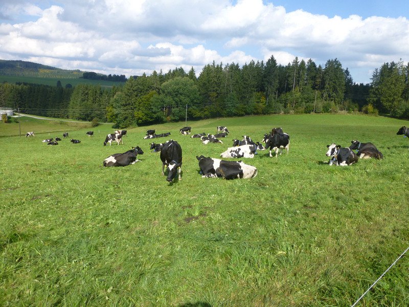 Wanderwochenende