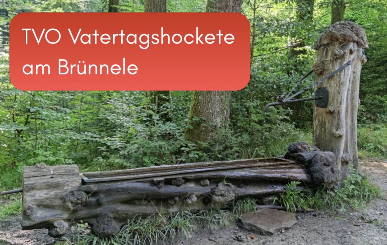 Waldwirtschaft und Wanderangebot an Christi Himmelfahrt